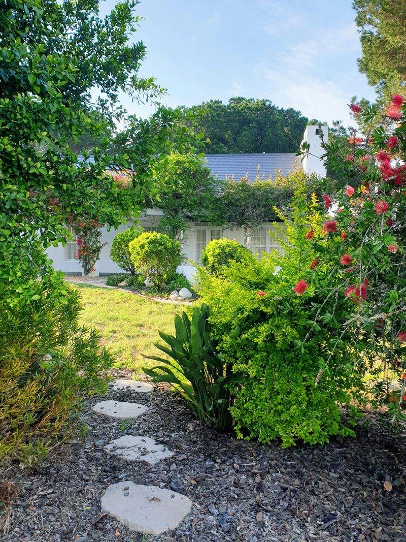 Maple Grove Garden Co.