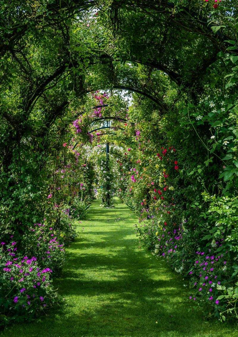 Simple Ways to Make Your Outdoor Space More Enjoyable
