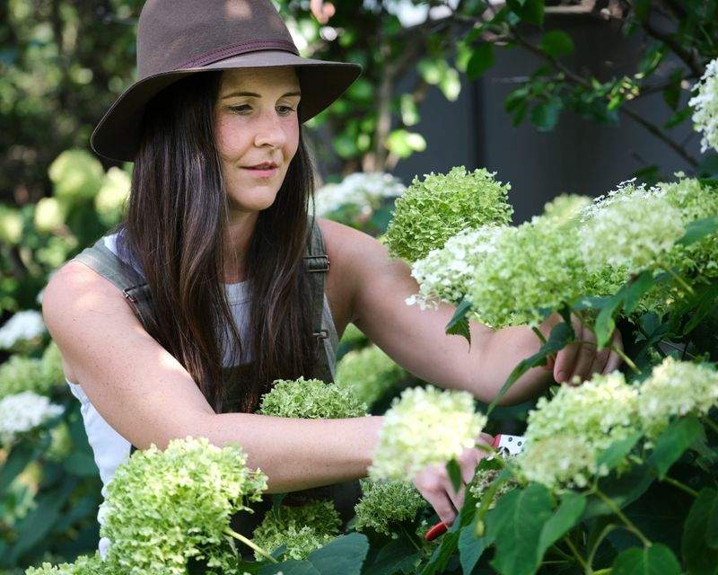 Maple Grove Garden Co. 12