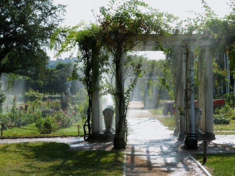 Maple Grove Garden Co. 8