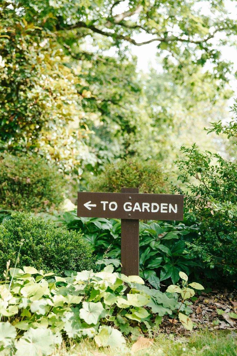 Maple Grove Garden Co. 9
